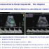 Diapositiva 06